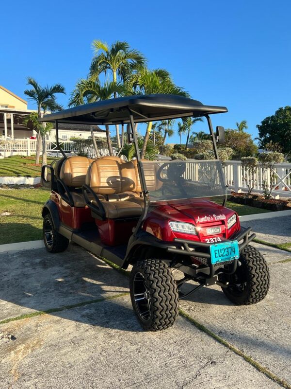 Aundre’s Rentals Harbour Island, Bahamas Golf Cart Rentals, Boat