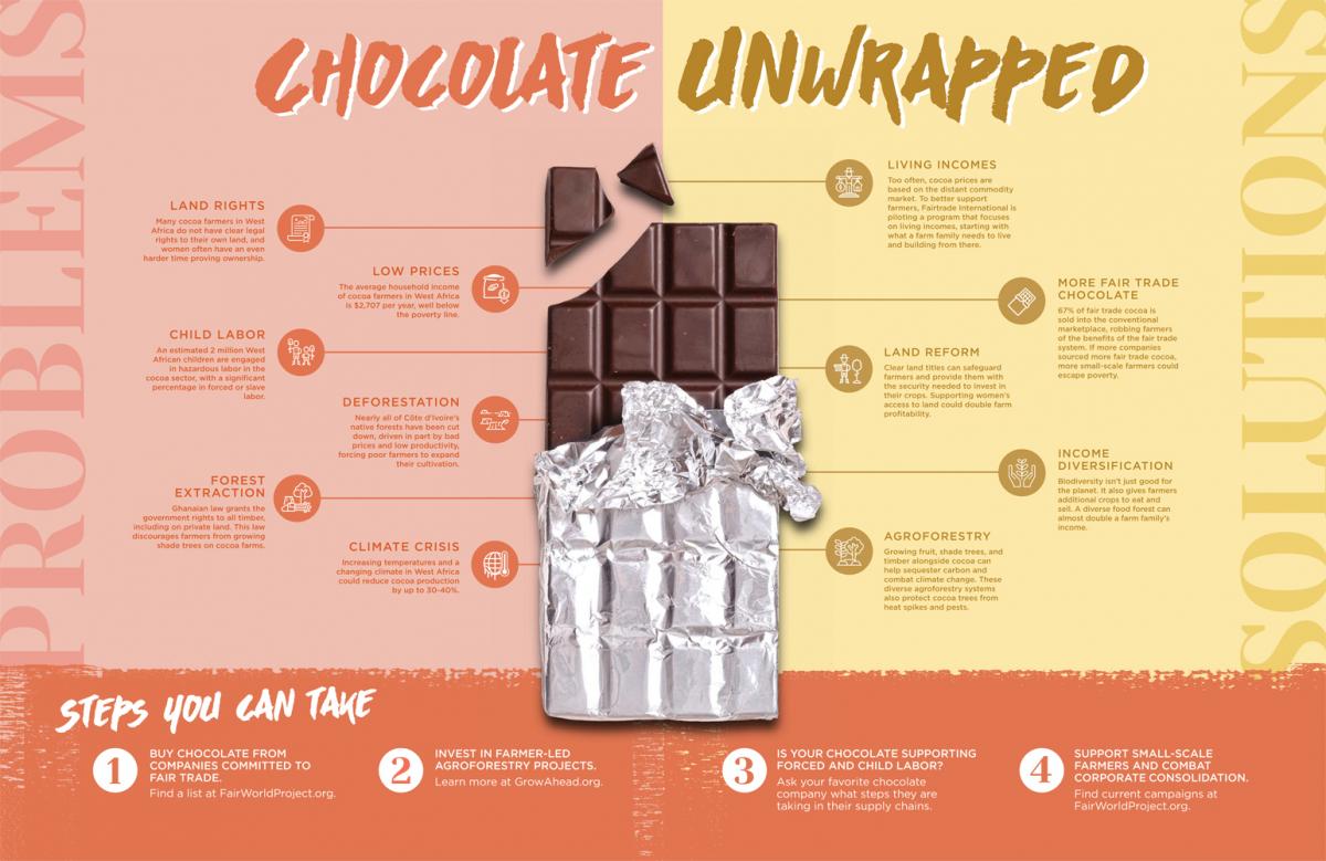 Unwrapping chocolate the untold story The American University of Rome