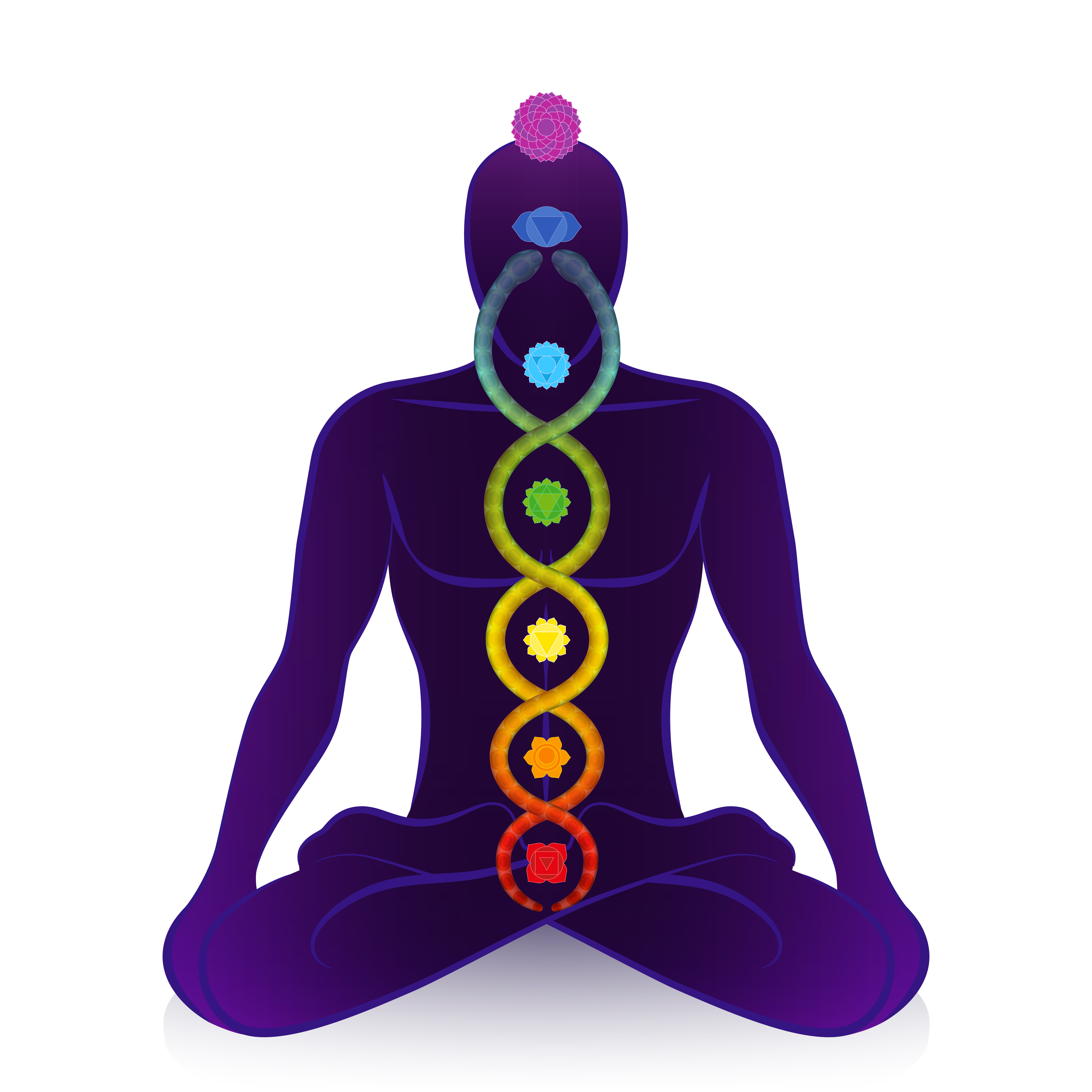 The 7 Primary Chakras Aura Healing By Phone