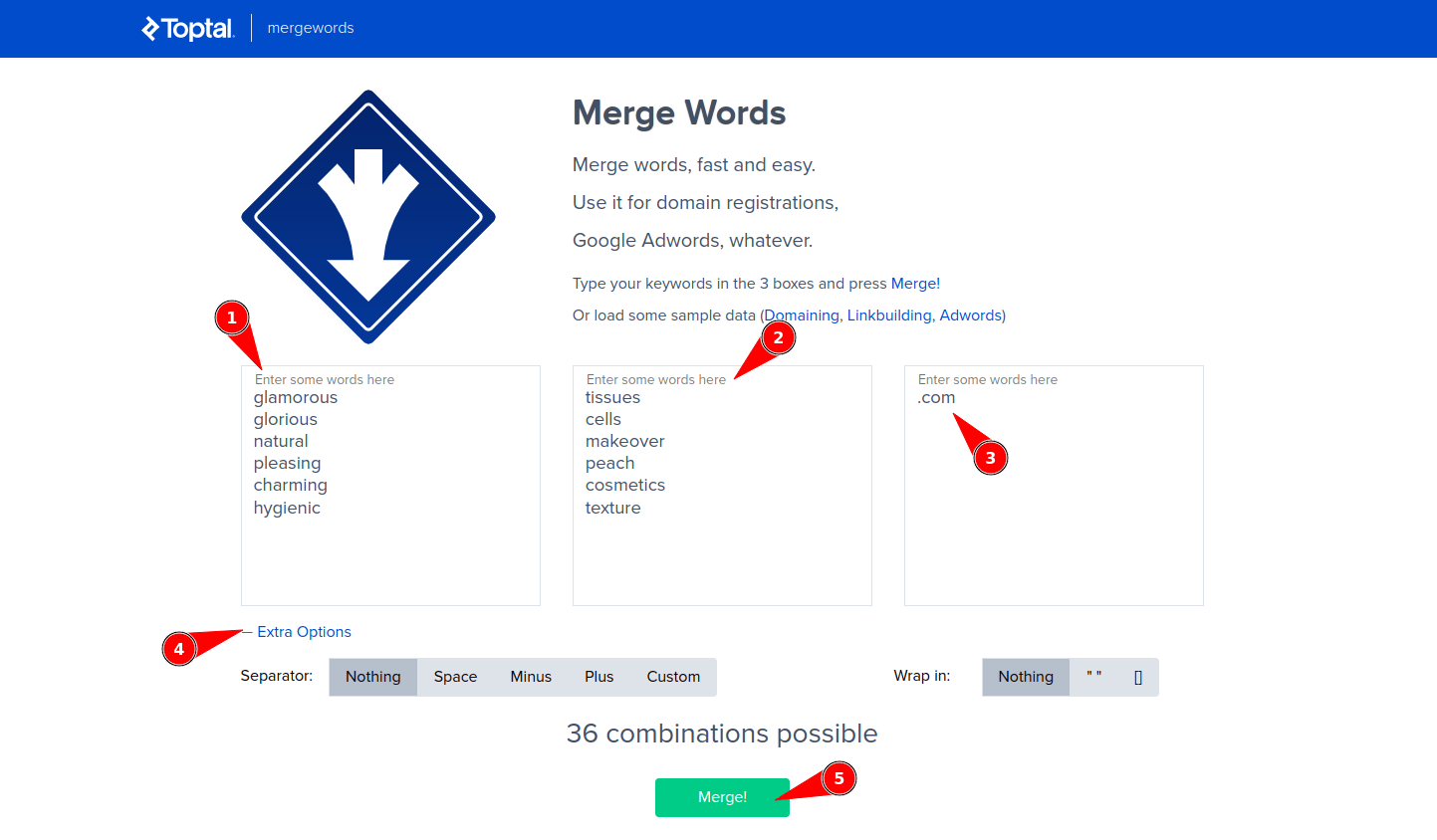 How to choose domain name 9 DIY steps for owners
