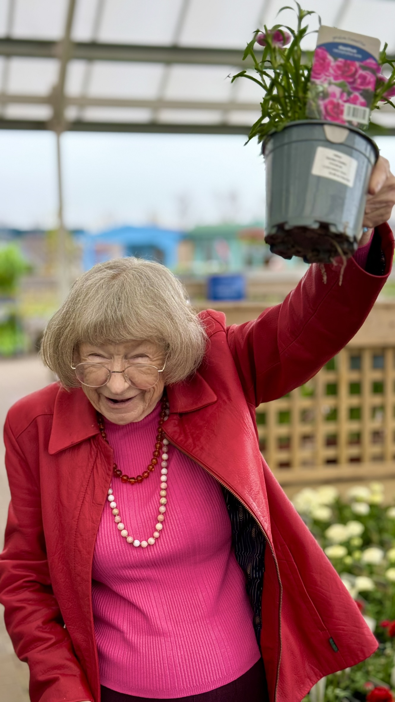 Hailsham House Aurem Care