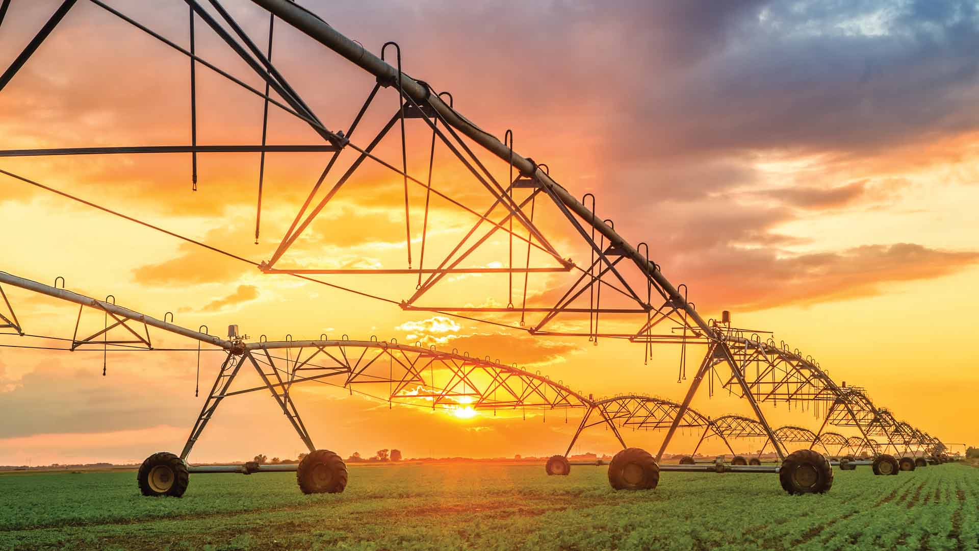 The Quest to Optimize Denitrifying Bioreactor Performance with