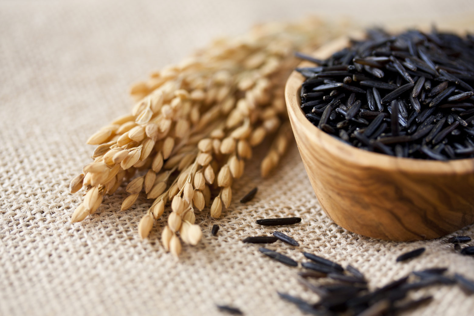 The Value of Cultivated Wild Rice AURI