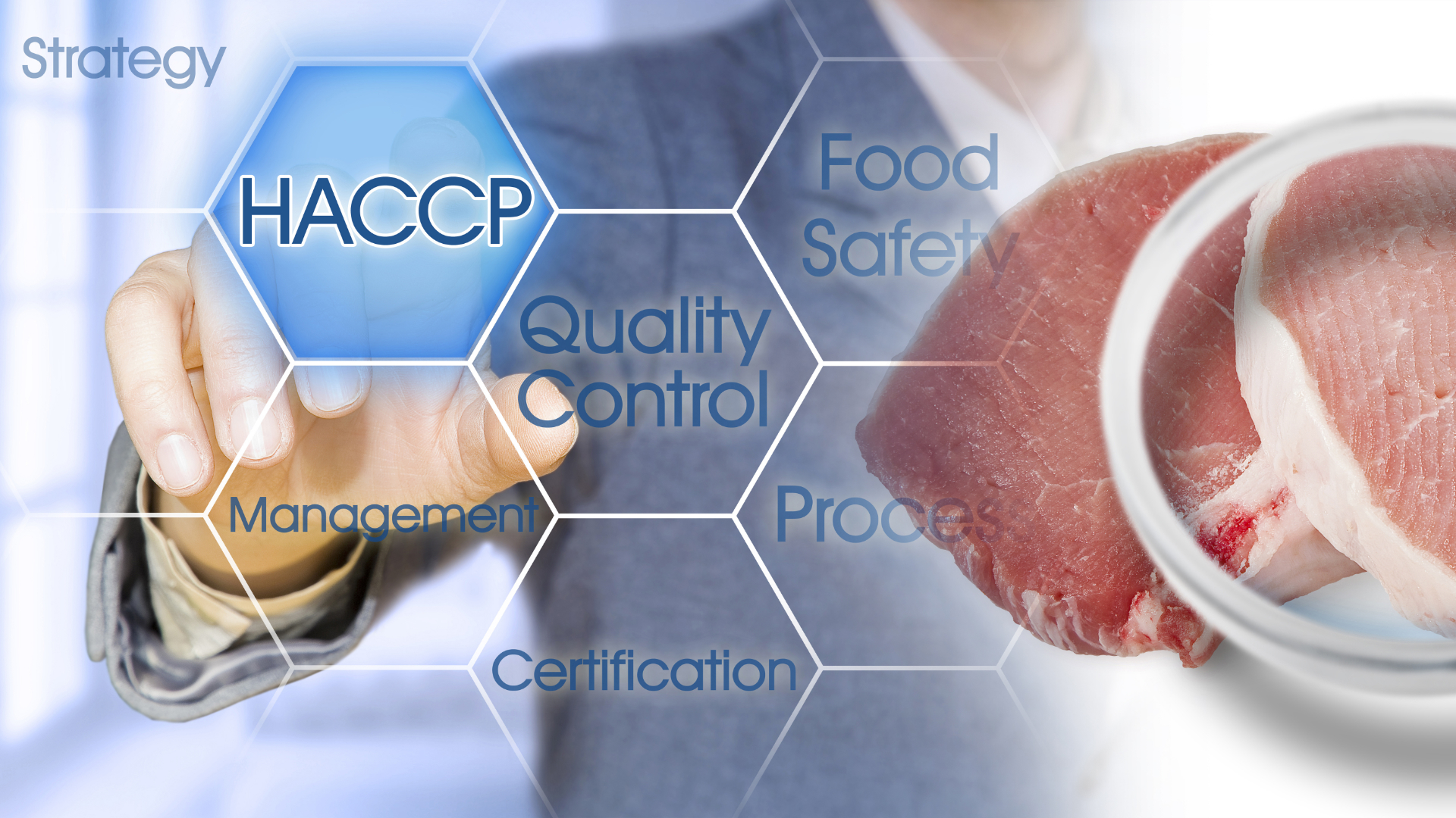 Meat Food Safety Resources AURI