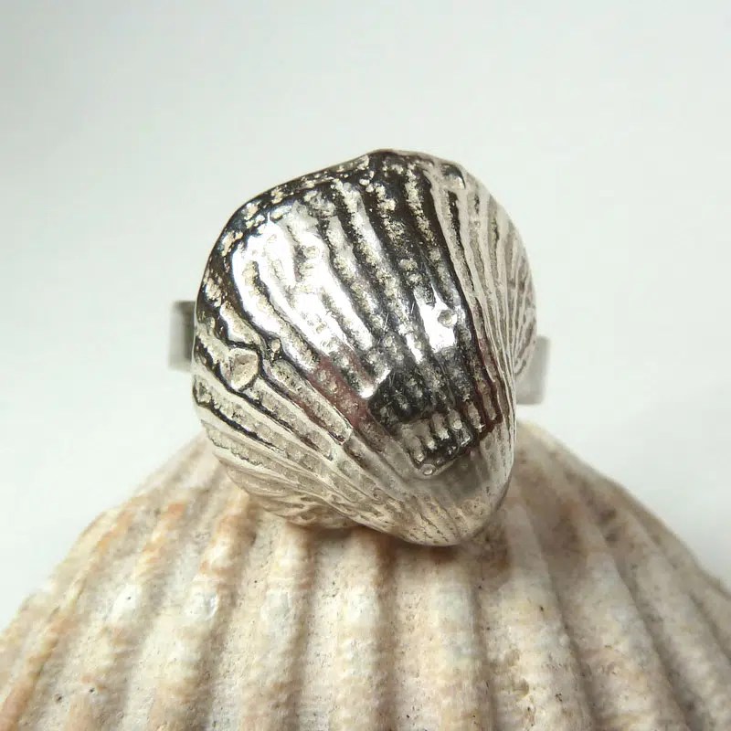 Shell Ring Auricula Jewellery