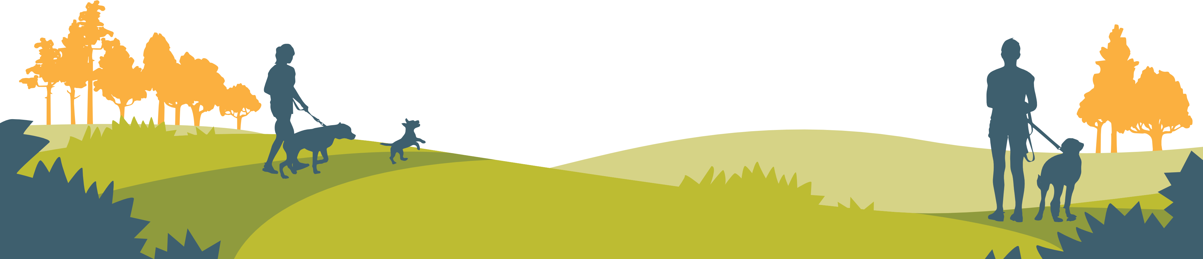 Au'roar'a Dog Training Birmingham 1to1 Dog Training Solihull Dog