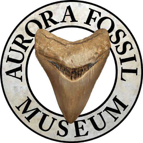 Aurora Phosphate Mine Aurora Fossil Museum