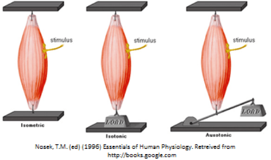 The Ins and Outs of Muscle Contractions Aurora Scientific