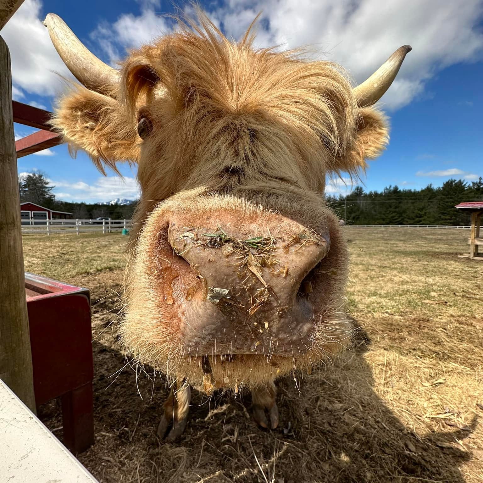 New ARVBA MemberMoon Valley Farm! Au Sable River Valley