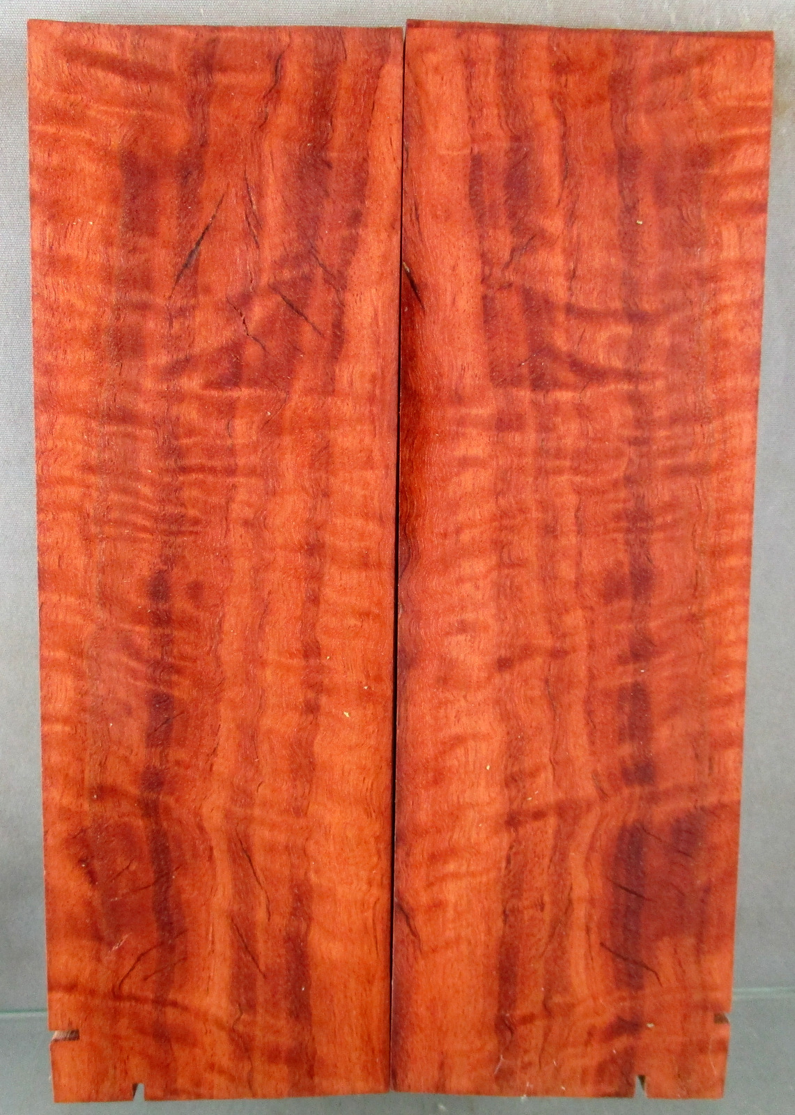 Curly Red Gum Aussie Burls International