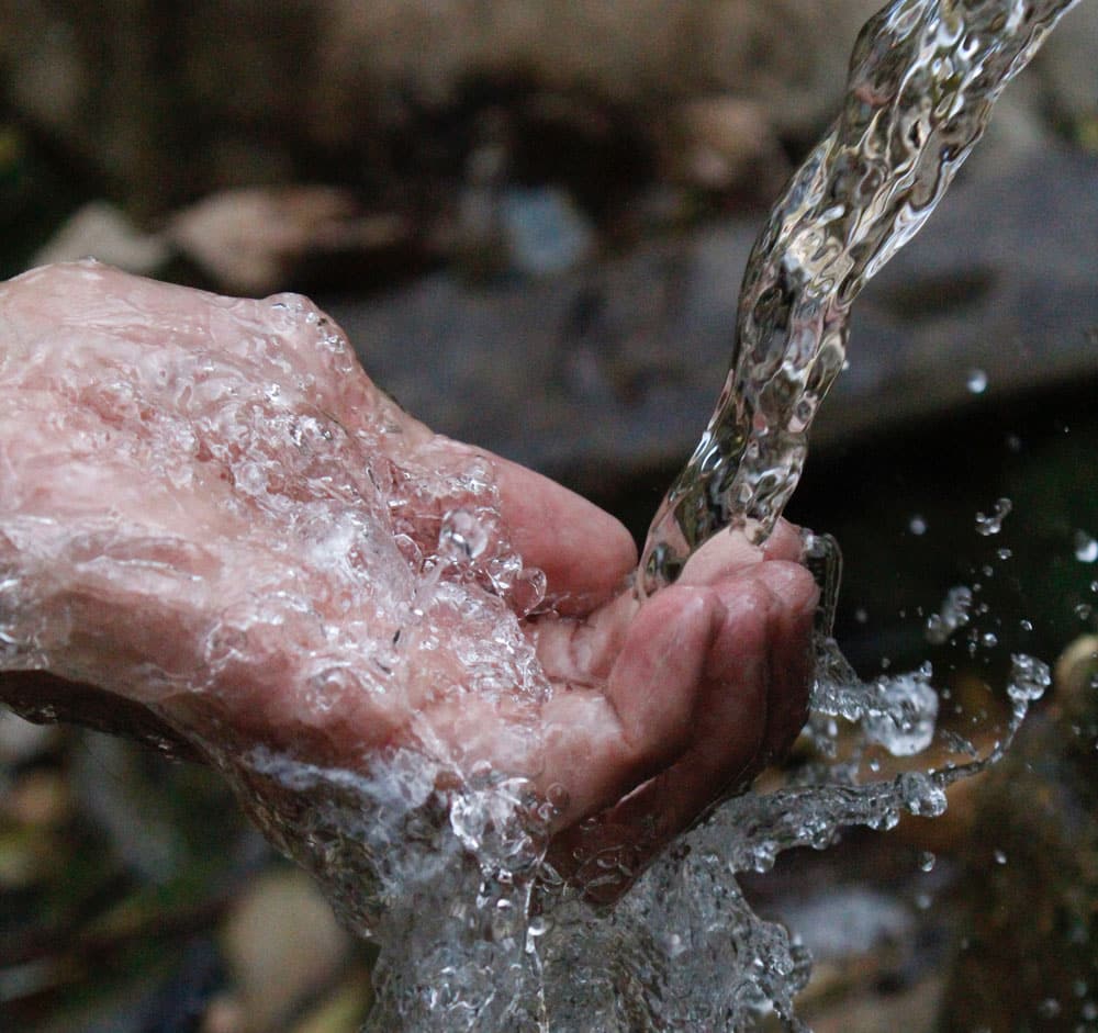 Spring Water Vs. Purified Water What's The Difference?