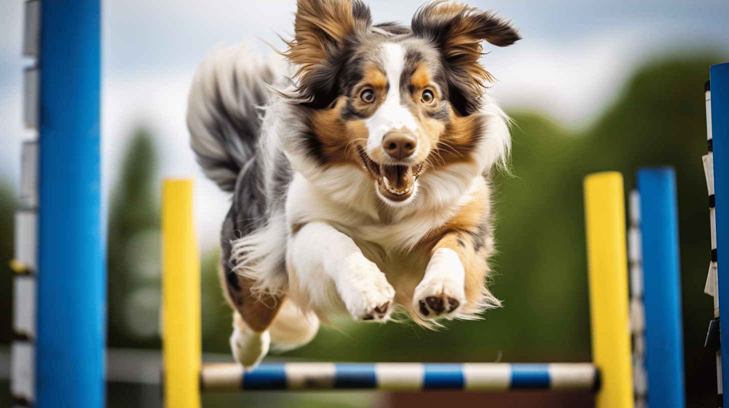 Unleashing the Potential Advanced Training Strategies for Australian