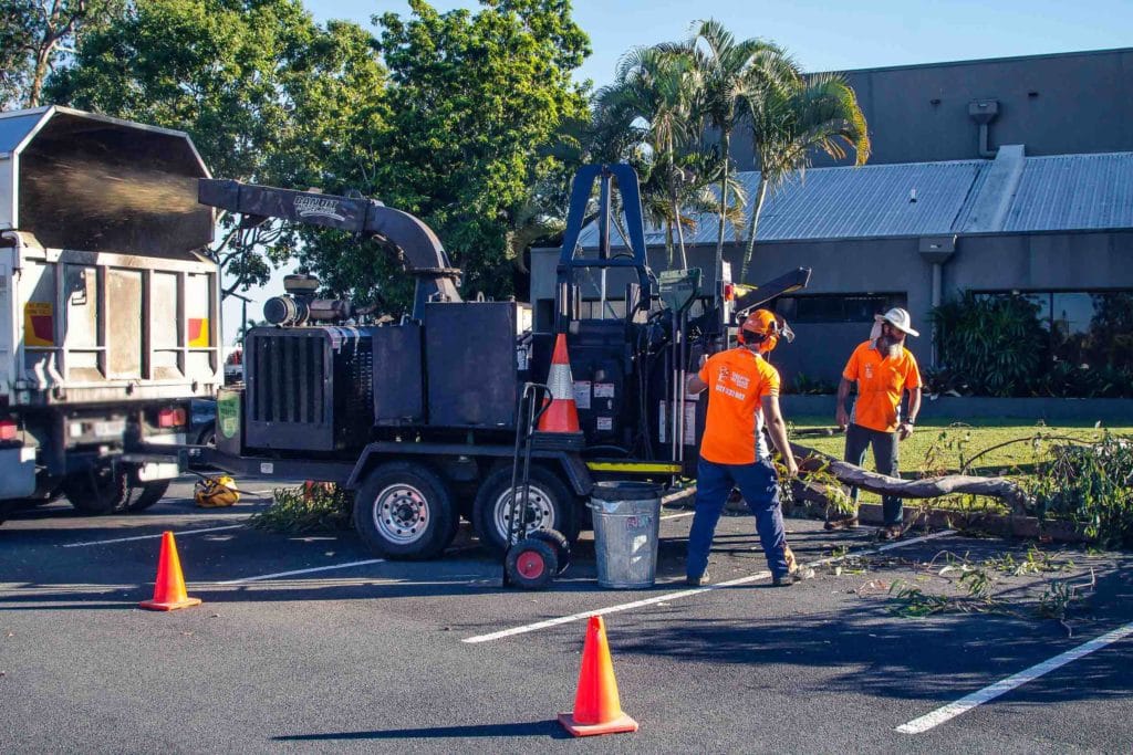 Tree Lopping Canberra Tree Removal Stump Grinding