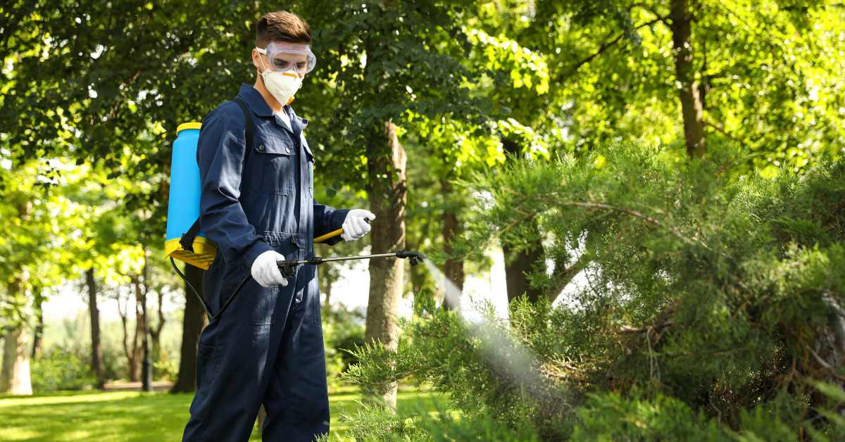 How To a Certified Pest Control Technician in Australia