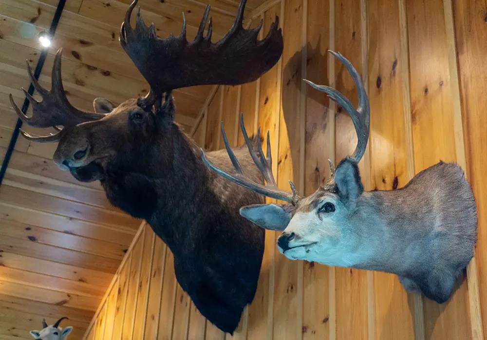 Gallery The Austerlitz Club