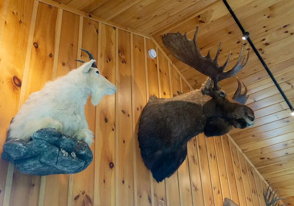 Gallery The Austerlitz Club