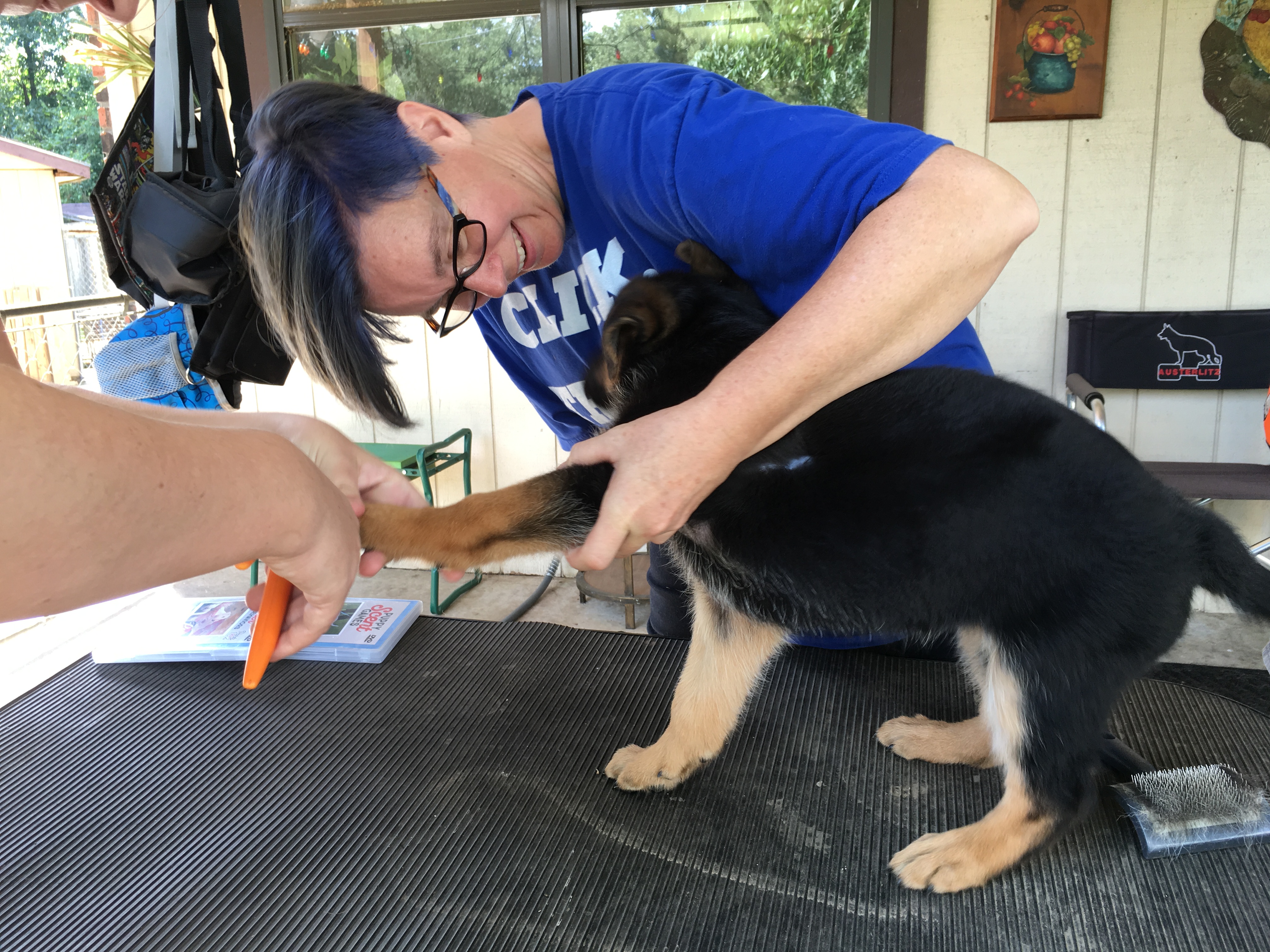 How We Raise Our Puppies Austerlitz German Shepherd Dogs