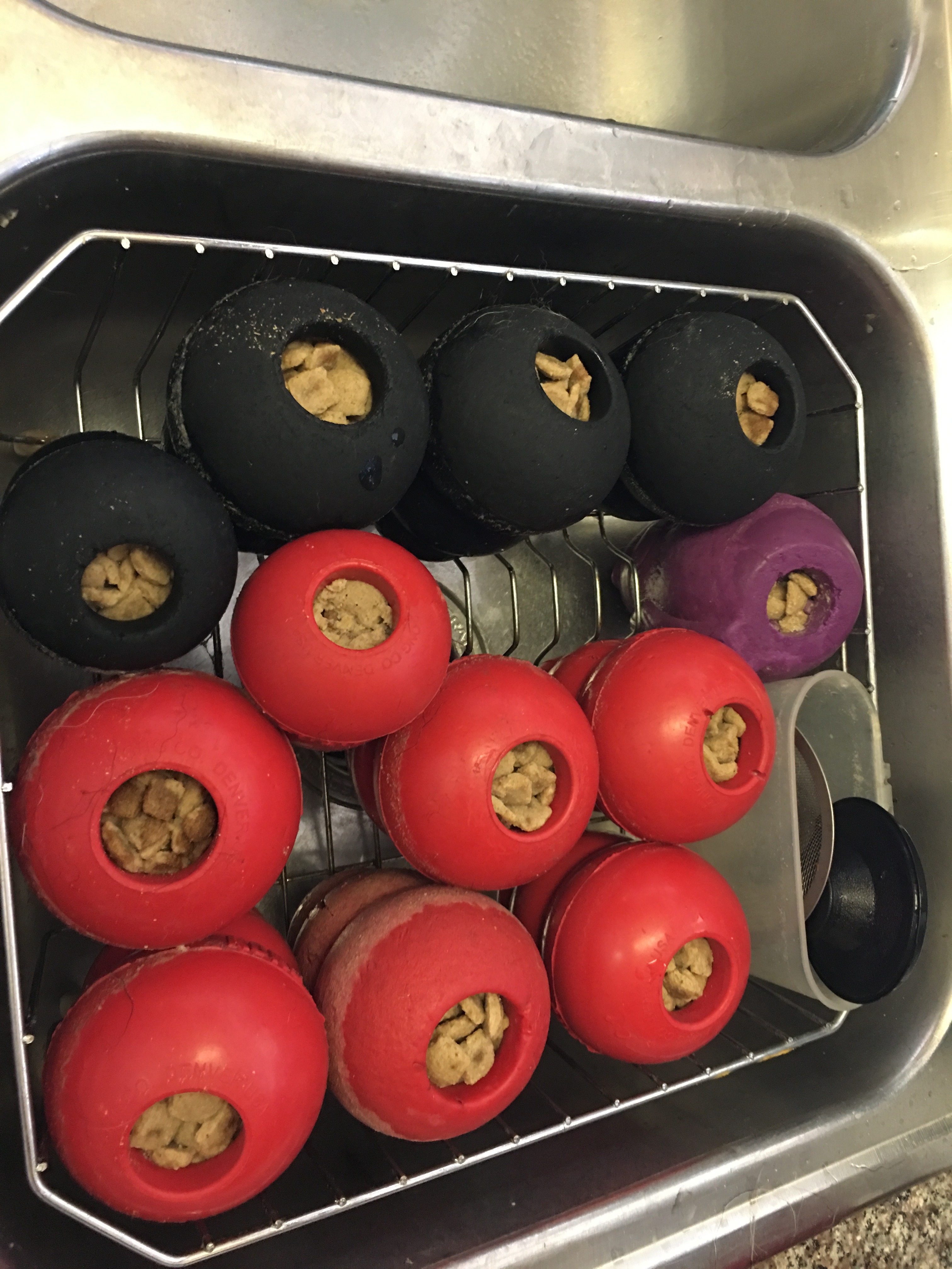 Kong Stuffing Quick and Easy! Austerlitz German Shepherd Dogs