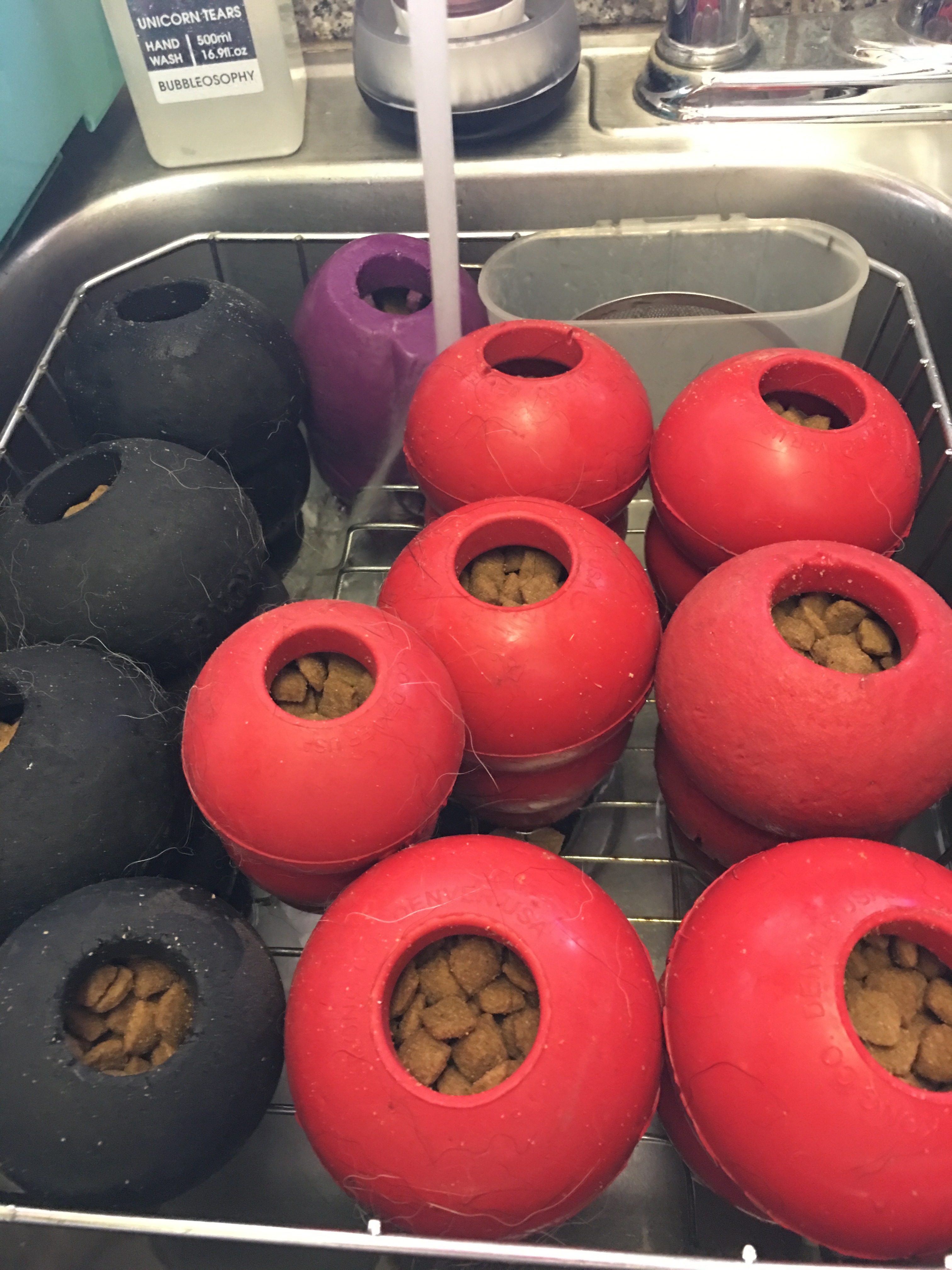 Kong Stuffing Quick and Easy! Austerlitz German Shepherd Dogs