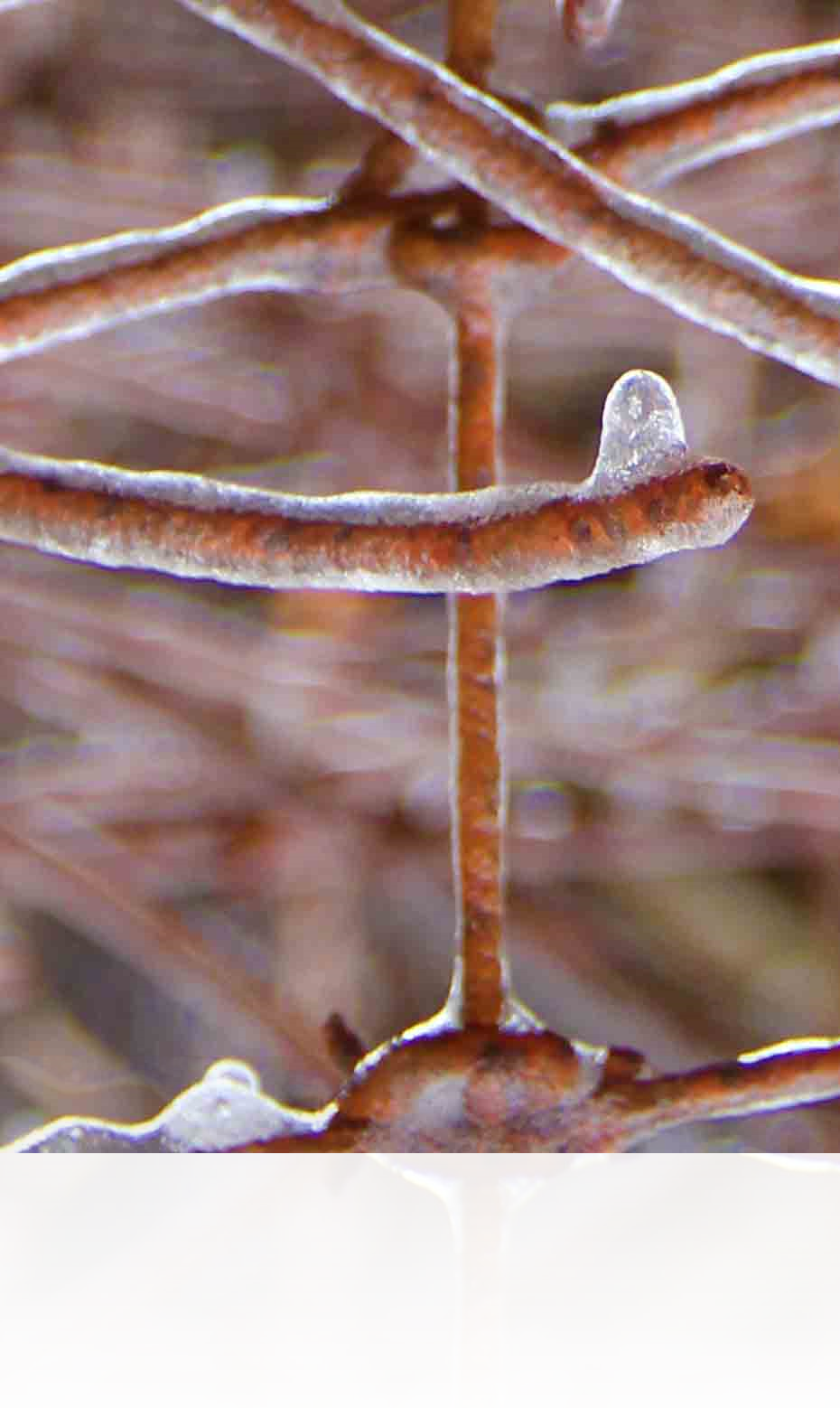 Austin Art For Sale Large Paintings For Living Room Art Exhibits