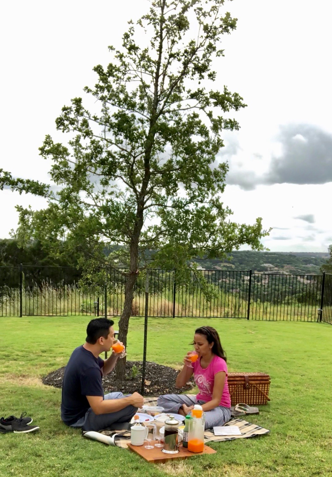 Here's How To Have A Perfect Stay in Place Picnic Date in Austin