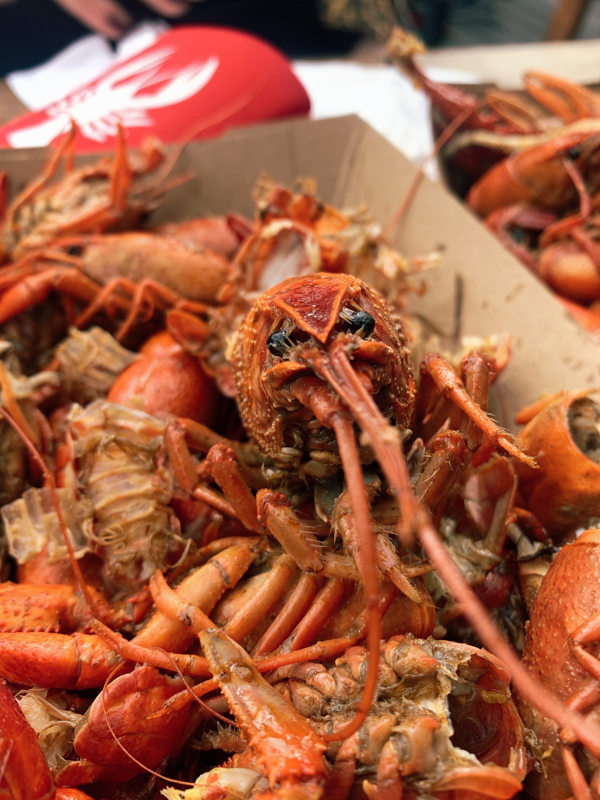 Here Are the Best Places to Get Crawfish in Austin