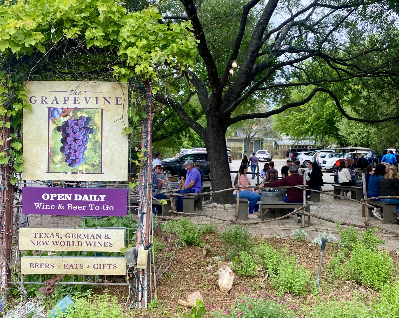 Best Hill Country Wineries Outside of Austin Texas