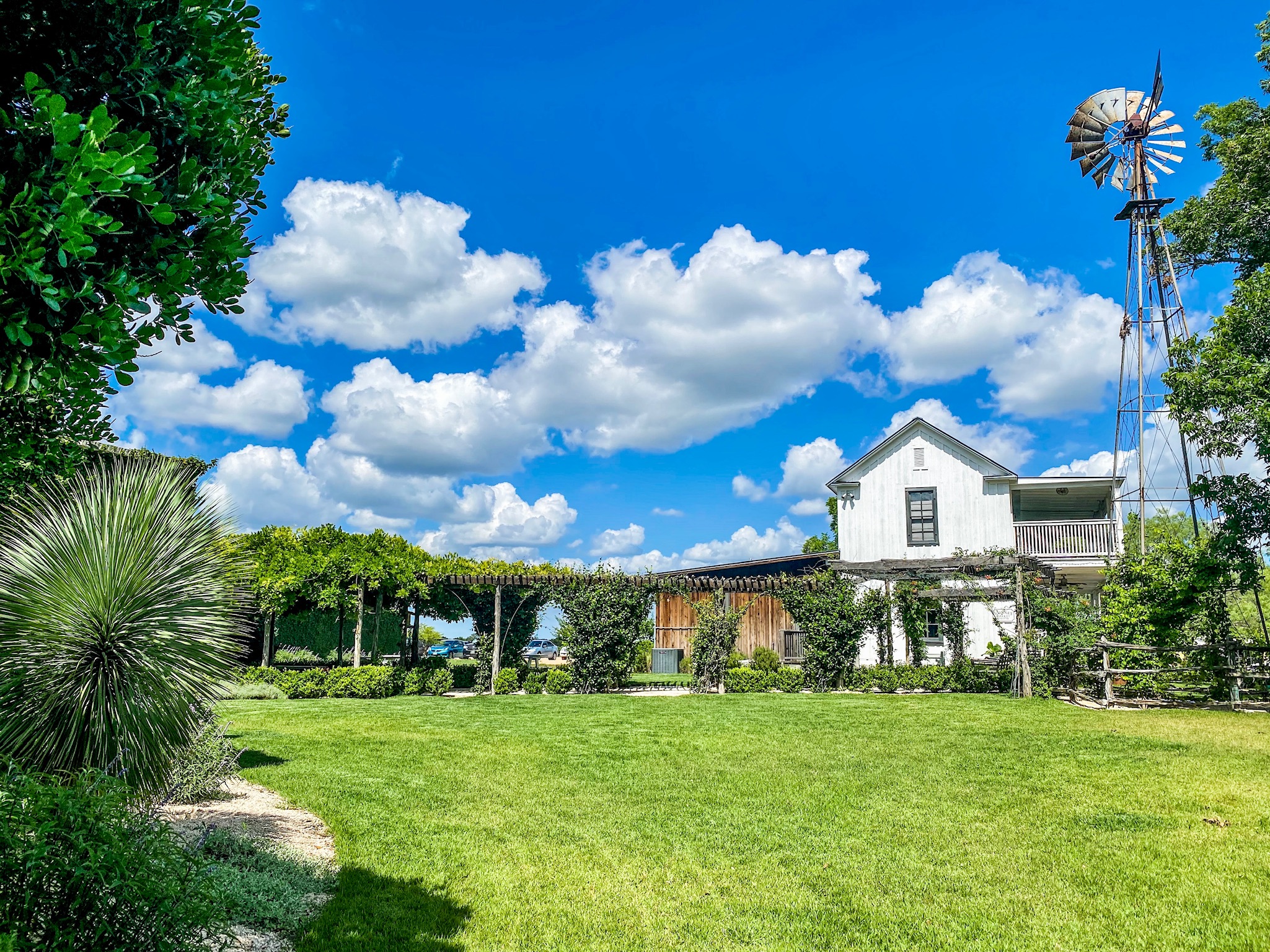 Best Hill Country Wineries Outside of Austin Texas