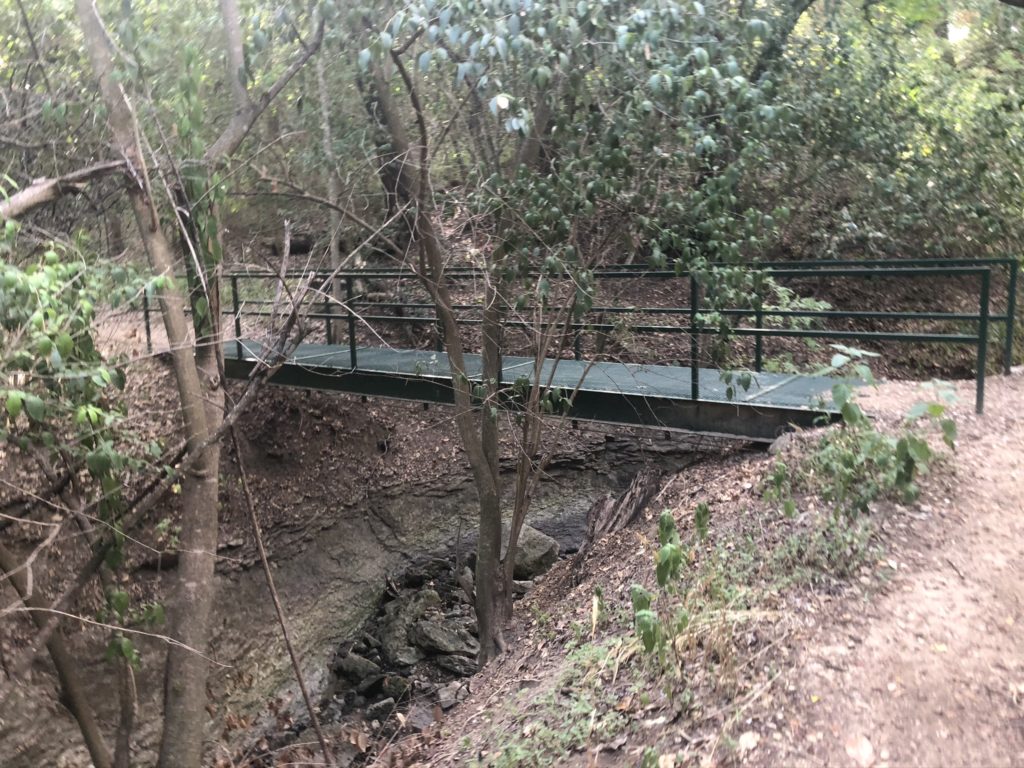 Pickett Trail in Austin Active Kids