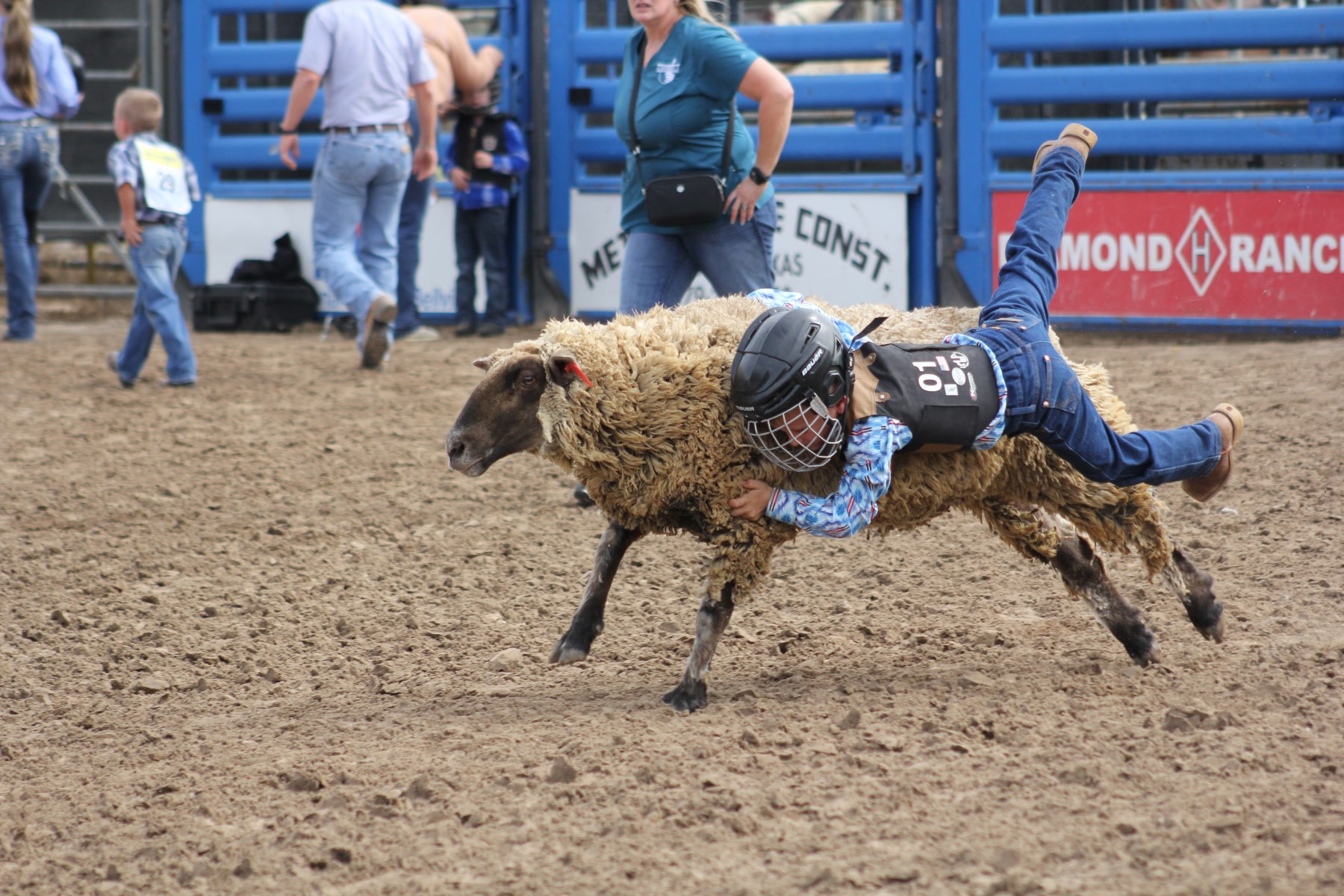 2023 Austin County Fair Mutton Bustin' Austin County News Online