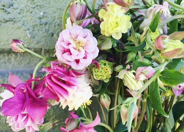 Austin Flower Company