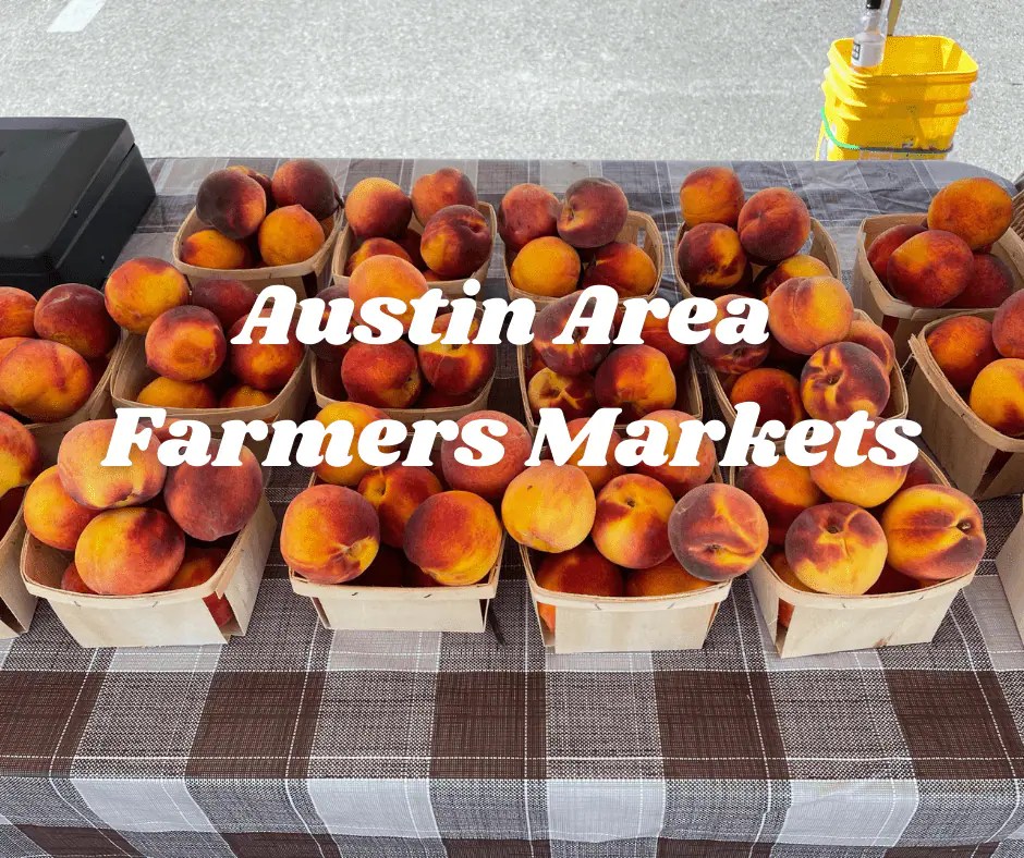All The Best Weekend Austin Area Farmers Markets Austin Fun for Kids