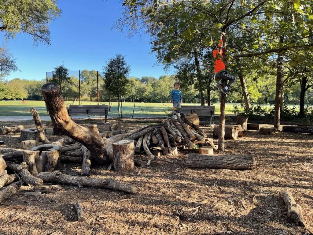 The Best Spots to Climb Trees in Austin Austin Fun for Kids
