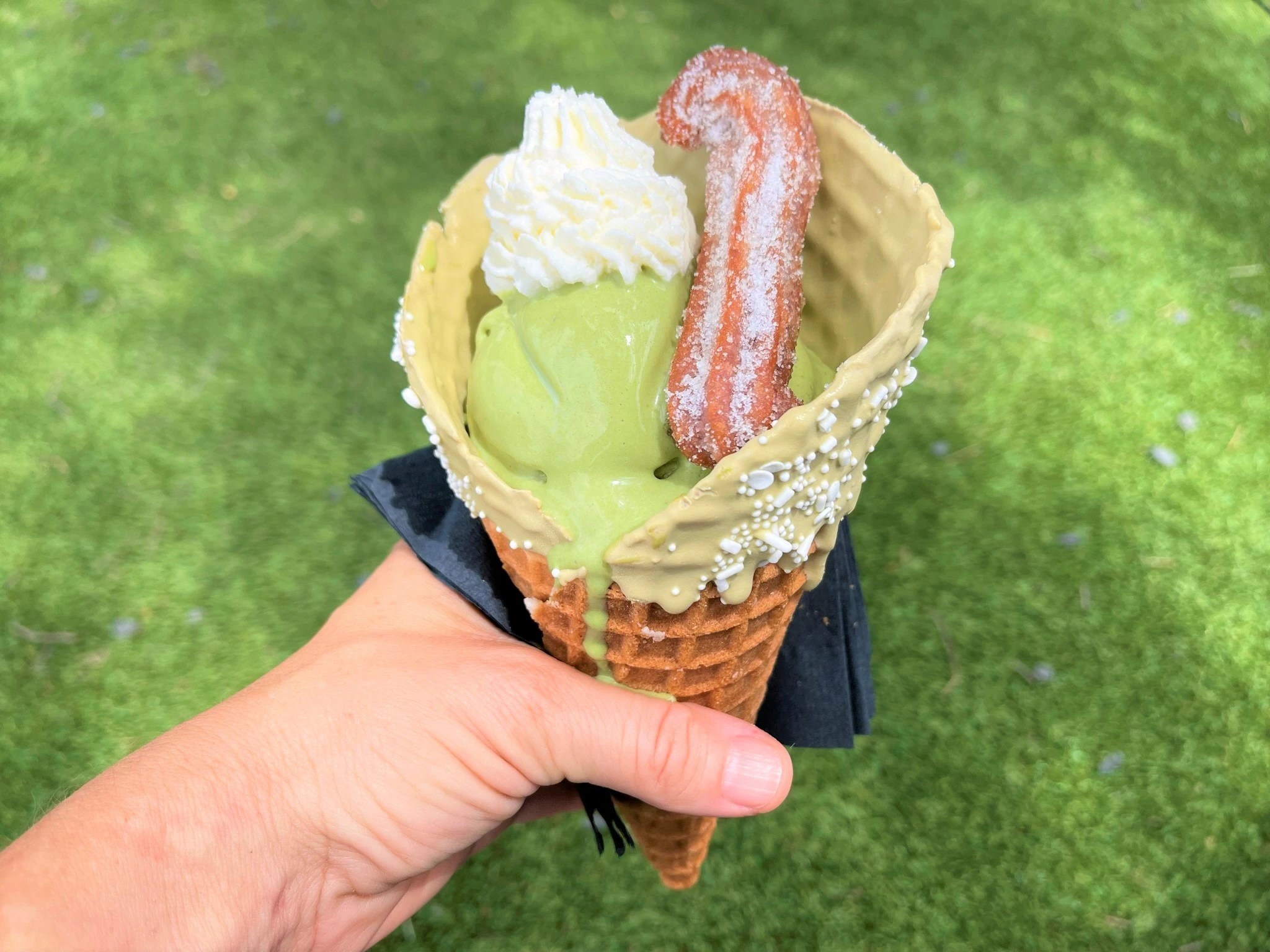 Ice Cream Tour of Austin Austin Fun for Kids