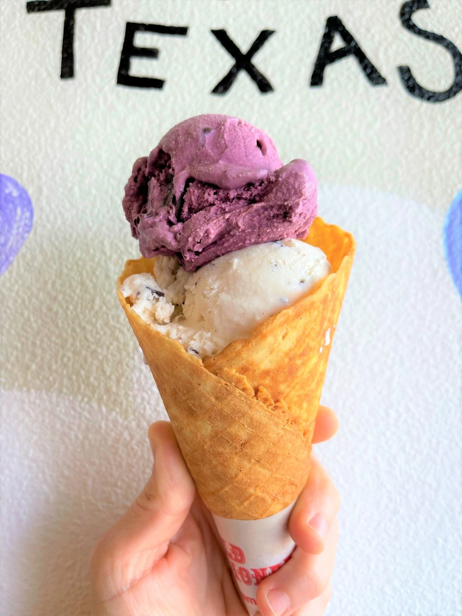 Ice Cream Tour of Austin Austin Fun for Kids