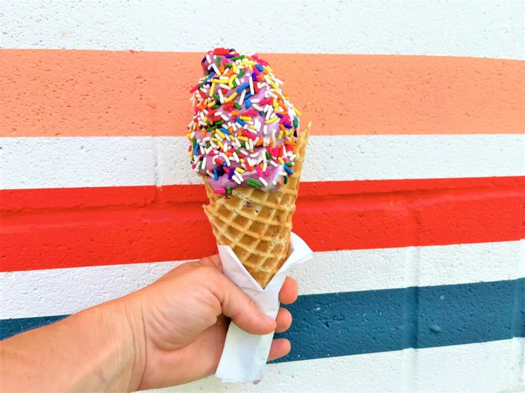 Ice Cream Tour of Austin Austin Fun for Kids