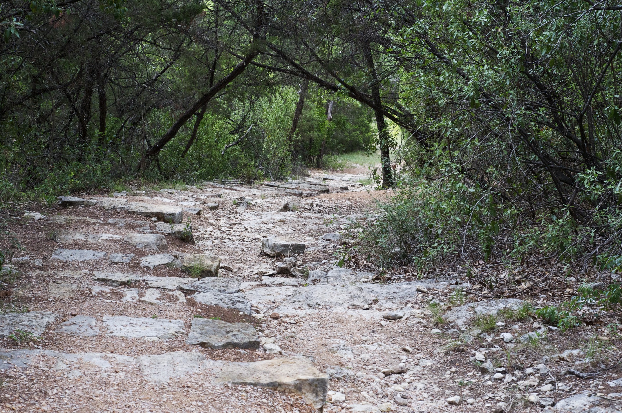 95.12 Allen Park - 365 Things to Do in Austin, TX