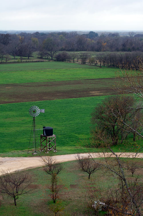 A Tour of the Brazos Valley Cheese Cave The Austin Gastronomist