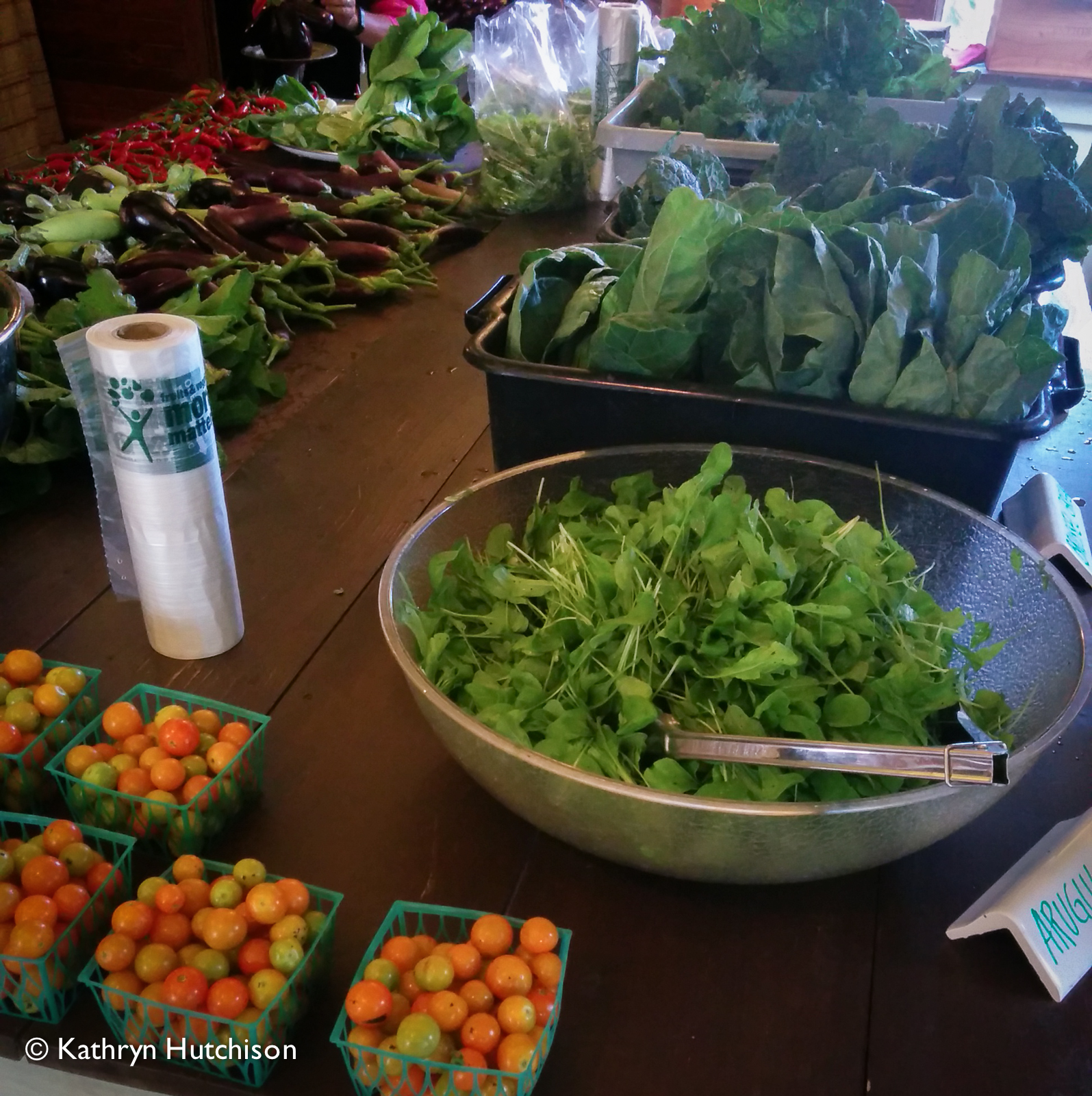 Take 5 Minutes to Support Springdale Farm The Austin Gastronomist