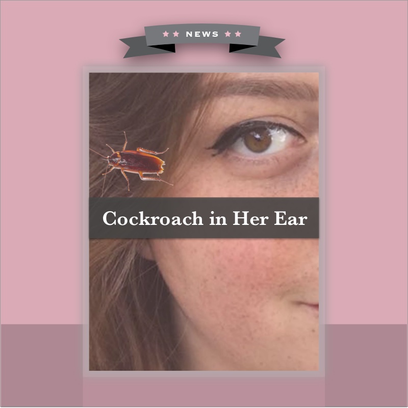 Ear Cockroach Austin & Lily