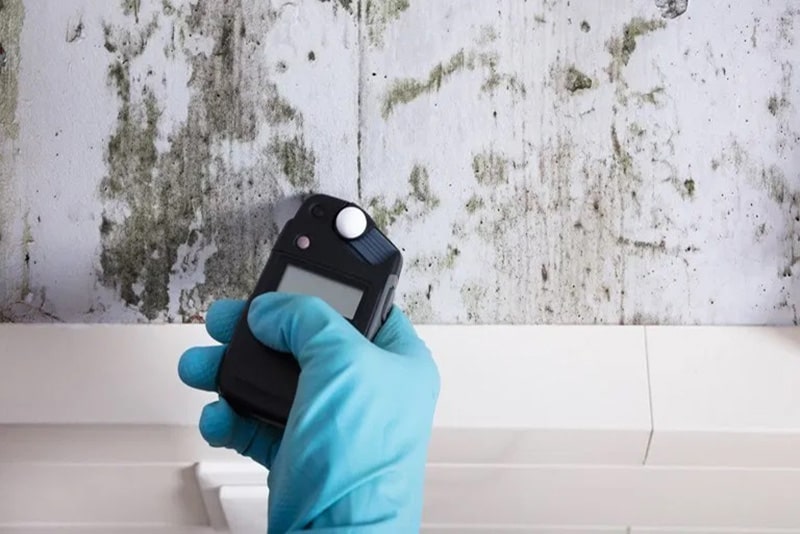 Commercial Mold Inspection Services Austin Mold Testing