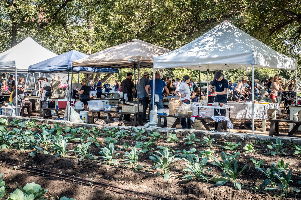 Embrace Local Agriculture at East Austin Urban Farm Tour