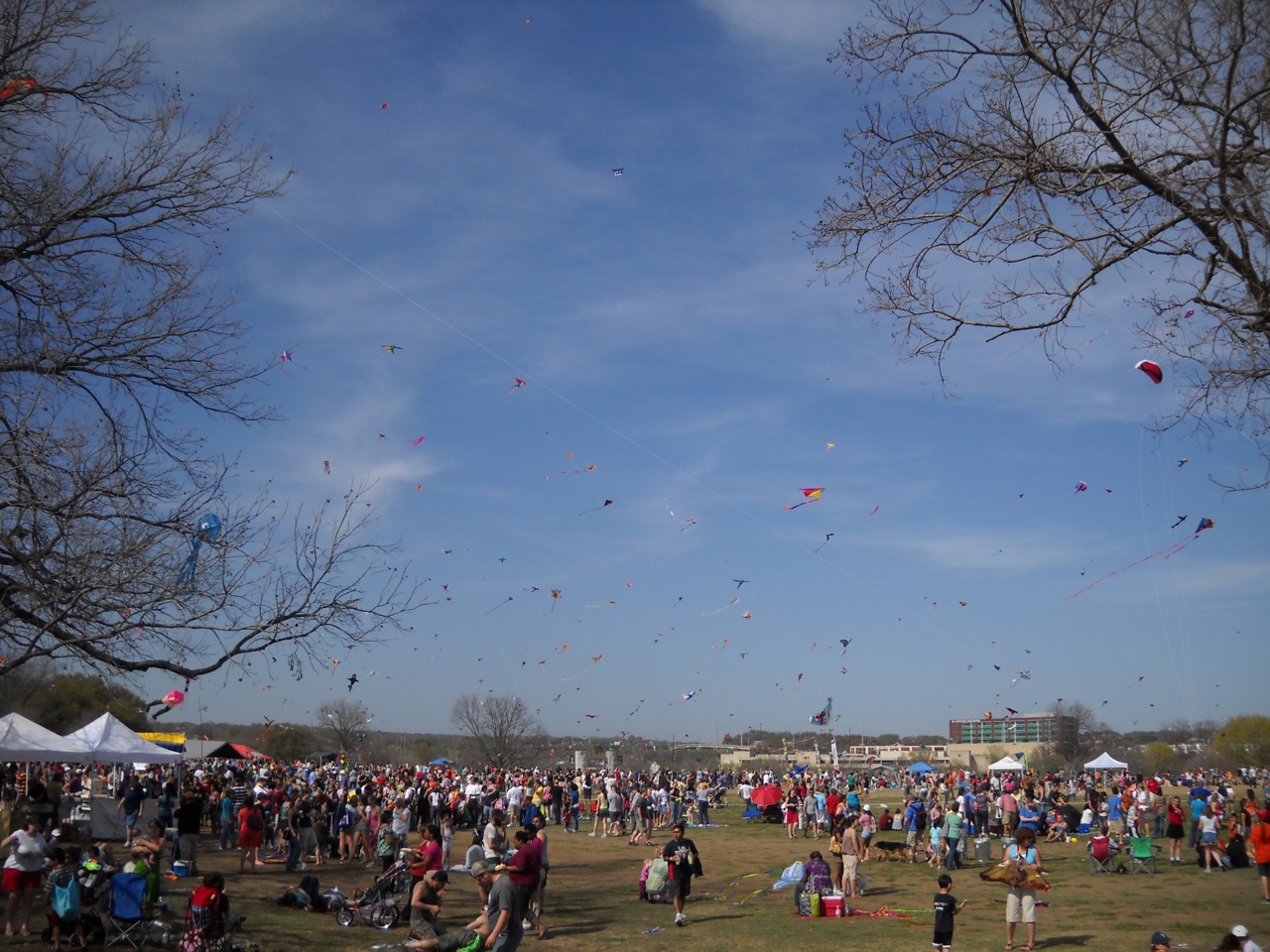 Zilker Kite Festival Takes to the Skies