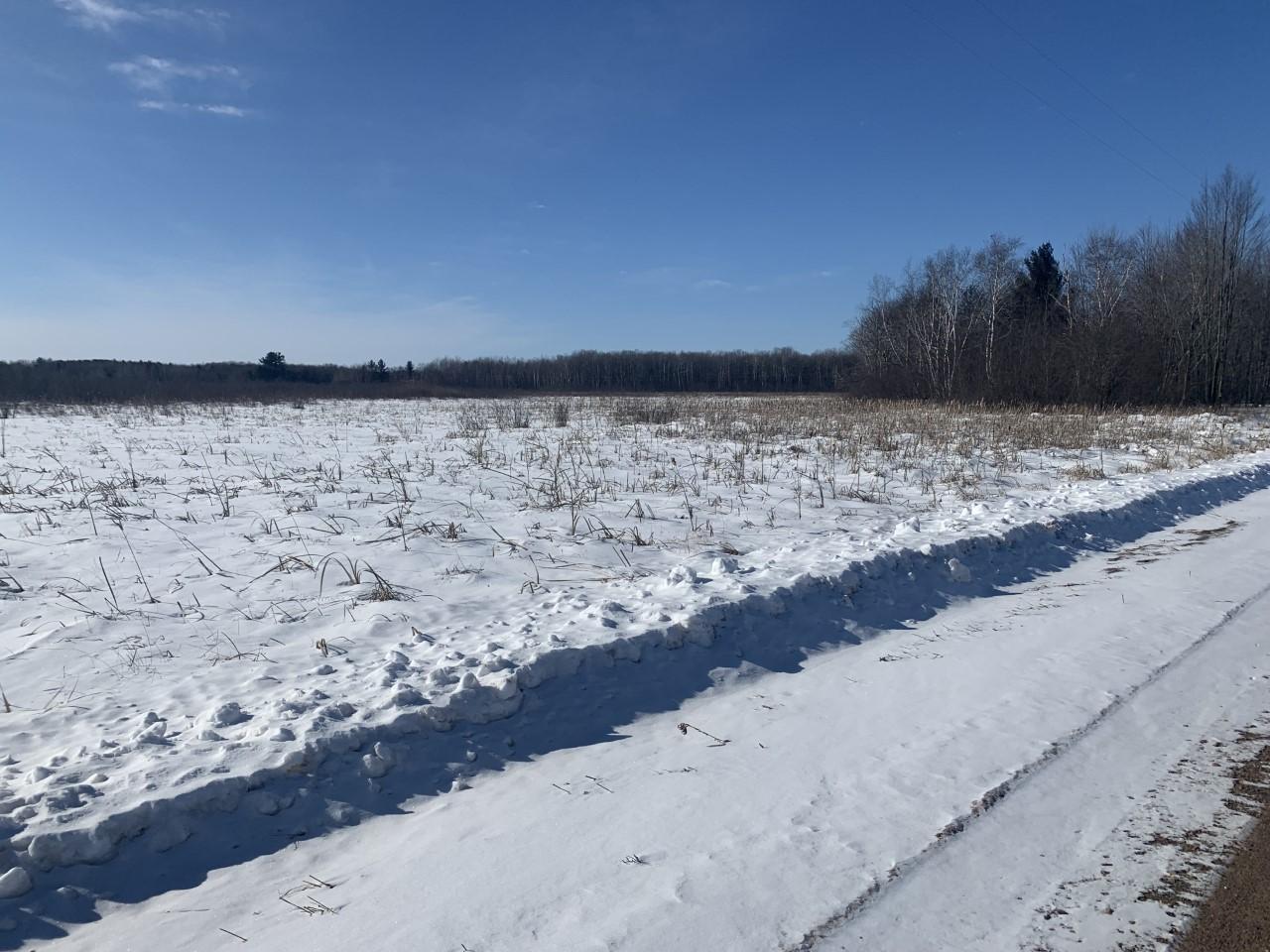 10acres in Pine County on Blueberry Island Road near Hinckley, MN