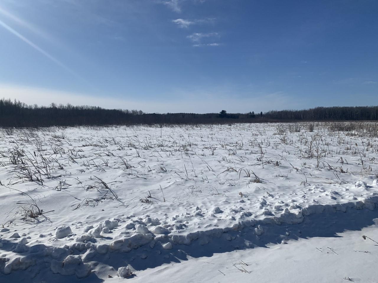 10acres in Pine County on Blueberry Island Road near Hinckley, MN