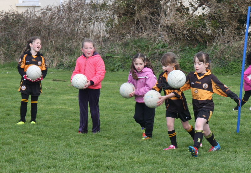 Academy Alive & Kicking