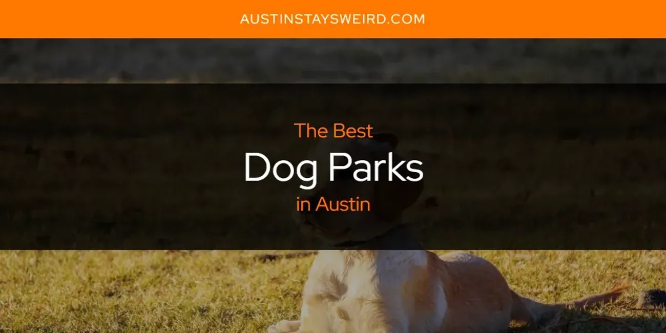 The Absolute Best Dog Parks in Austin [Updated 2024]