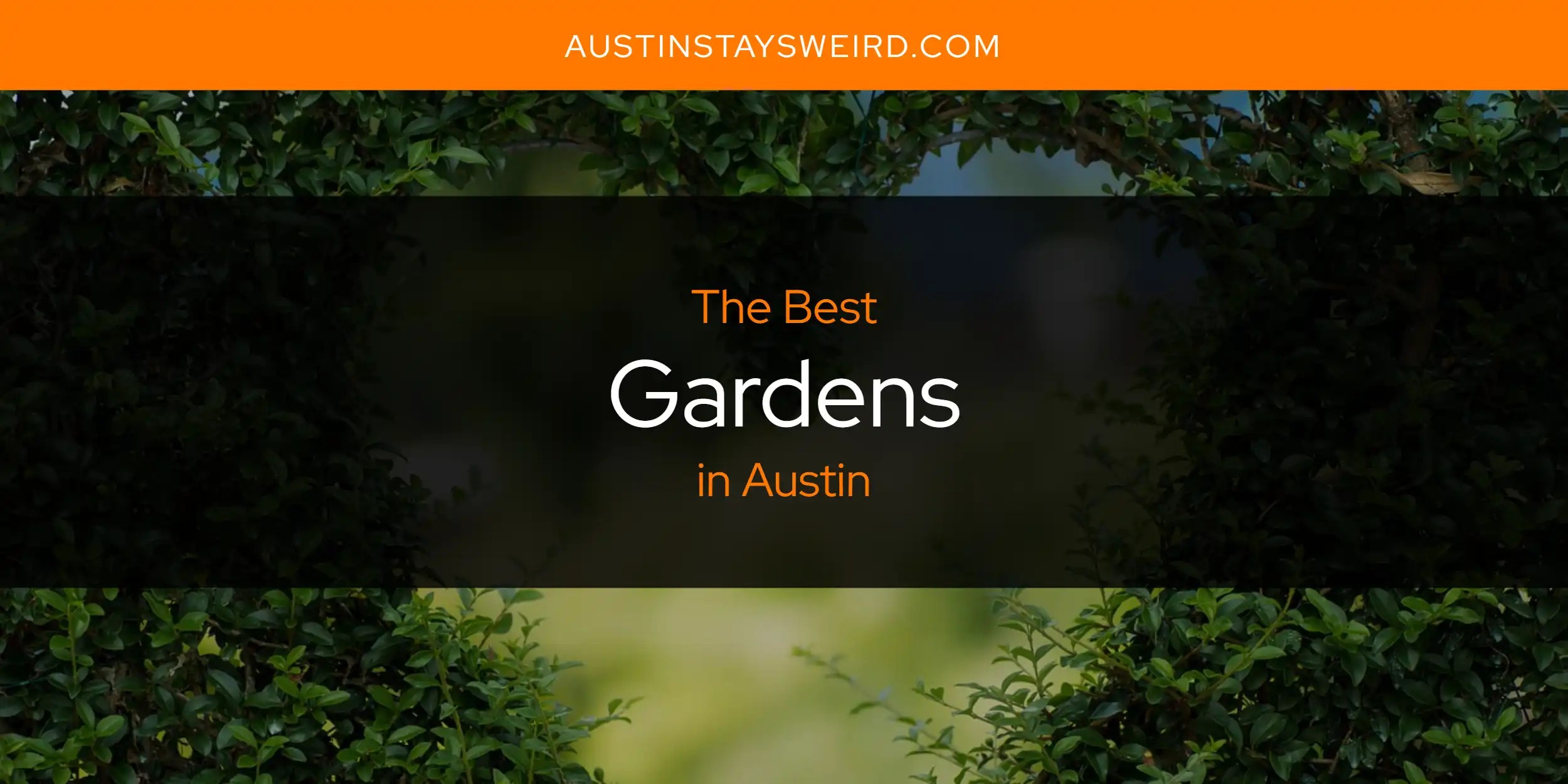 The Absolute Best Gardens in Austin [Updated 2024]