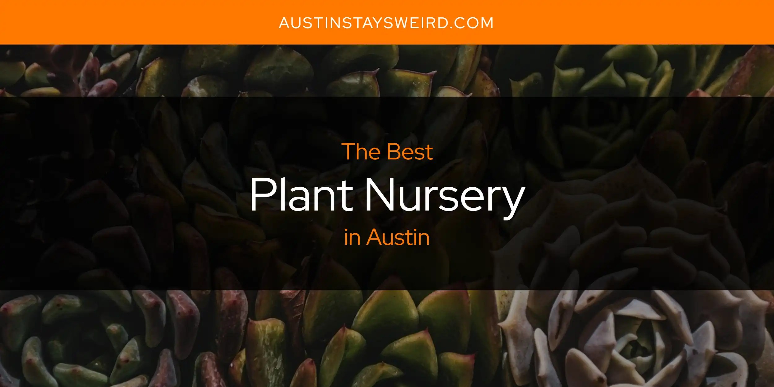 Austin's Best Plant Nursery [Updated 2024] Austin Stays Weird