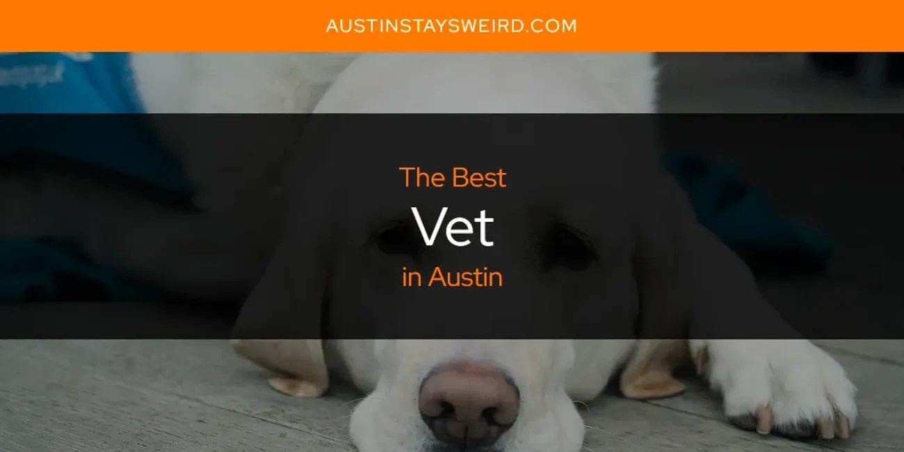 The Absolute Best Vet in Austin [Updated 2024] Austin Stays Weird